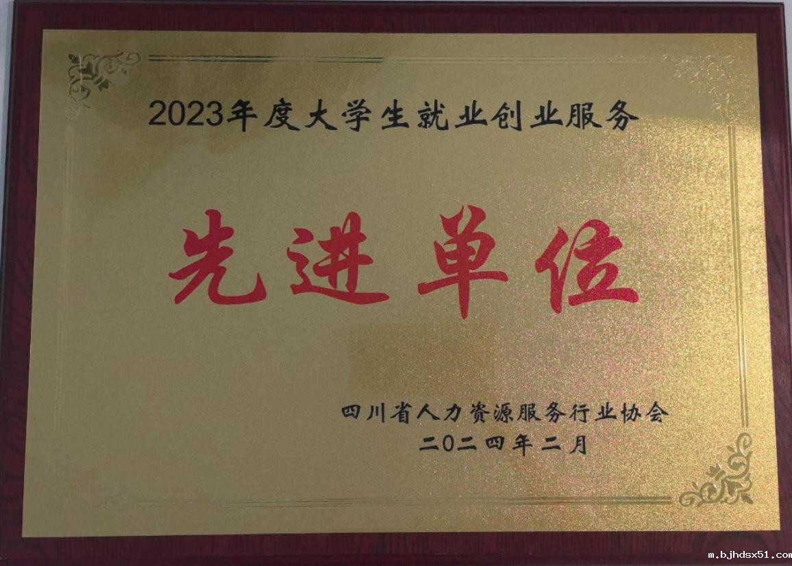 成都人力资源服务行业协会副会长单位