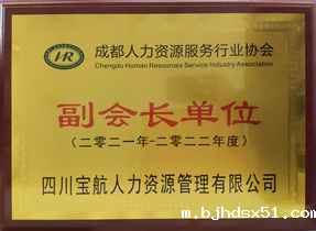 成都人力资源服务行业协会副会长单位