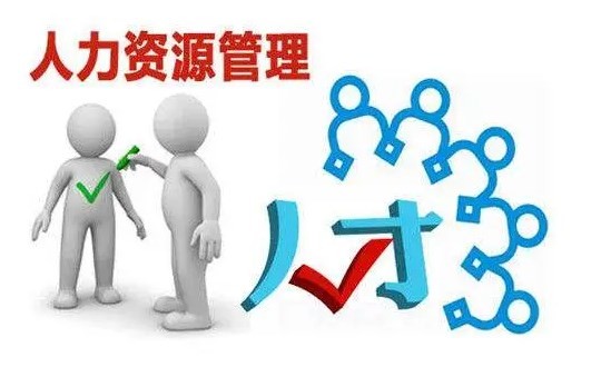 人力资源服务不含职业中介和劳务派遣:企业如何合规选择专业支持?